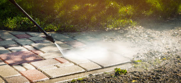 Best Dumpster Area Cleaning  in Flora, IN